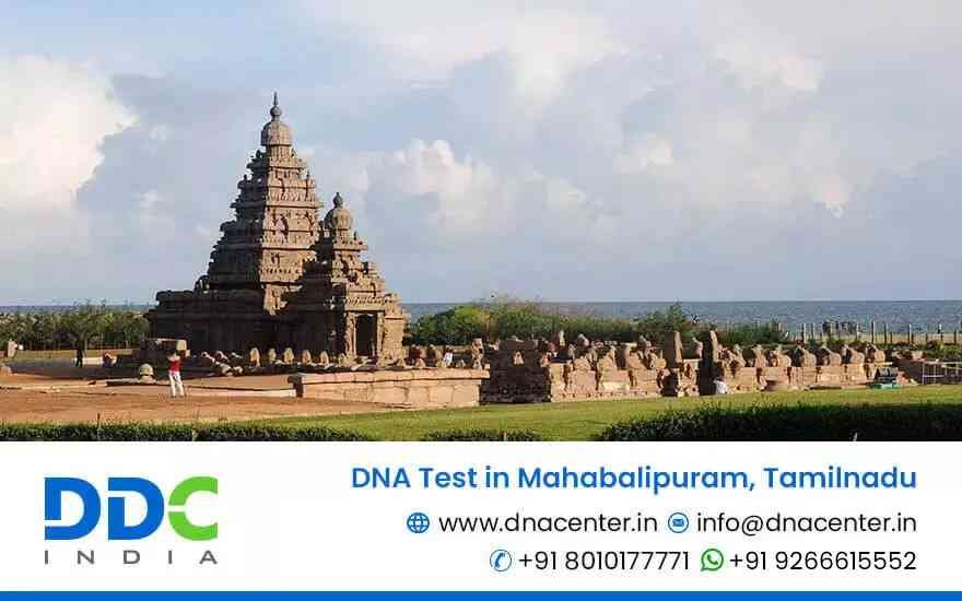 DNA Test in Mahabalipuram