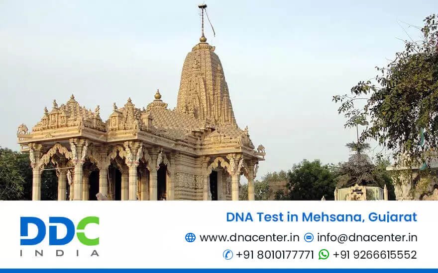 DNA Test in Mehsana