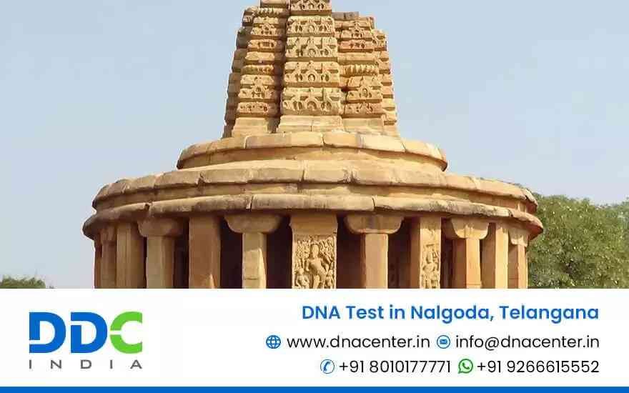 DNA Test in Nalgoda