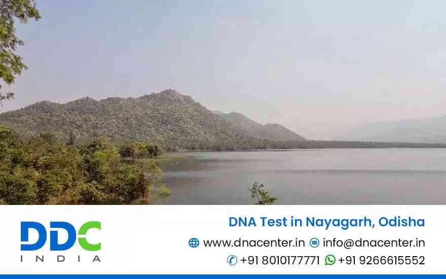 DNA Test in Nayagarh