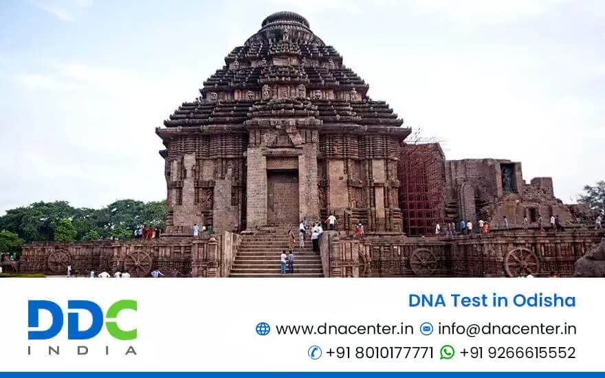 DNA Test in Odisha