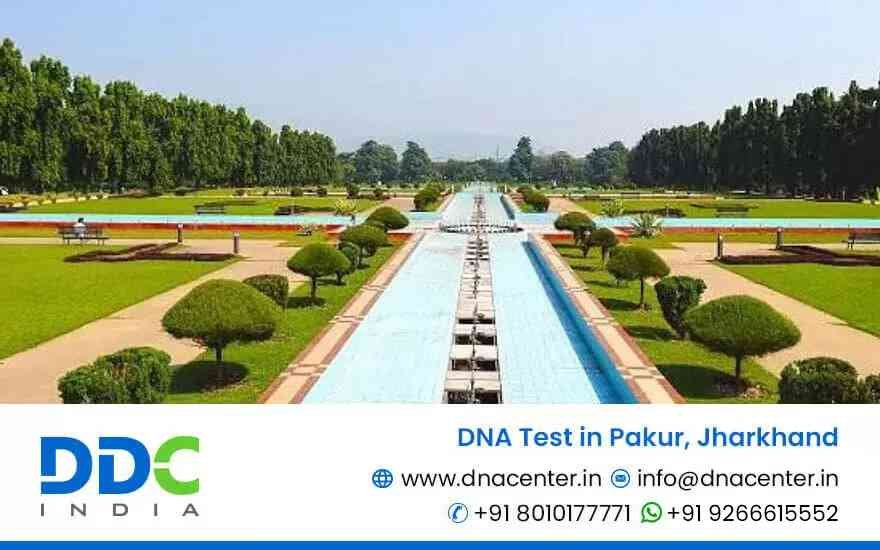 DNA Test in Pakur