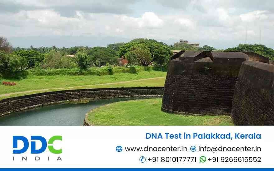 DNA Test in Palakkad