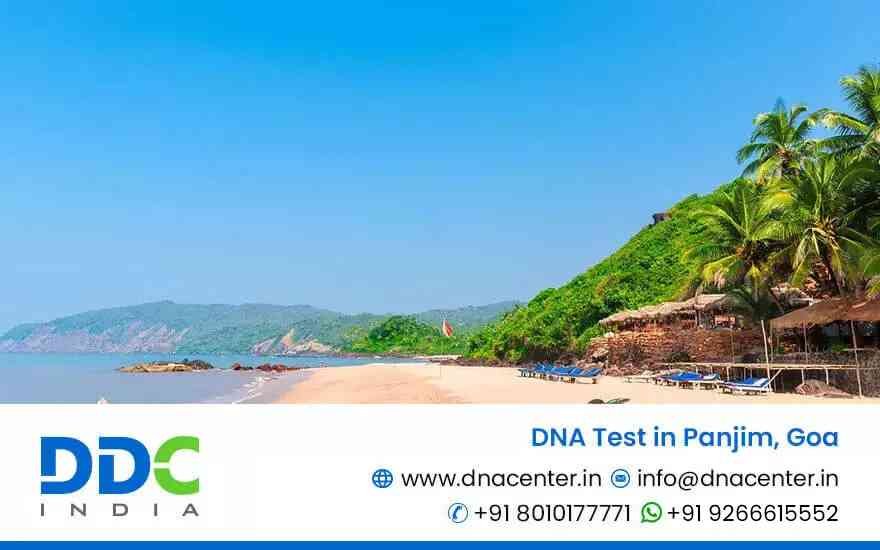DNA Test in Panjim