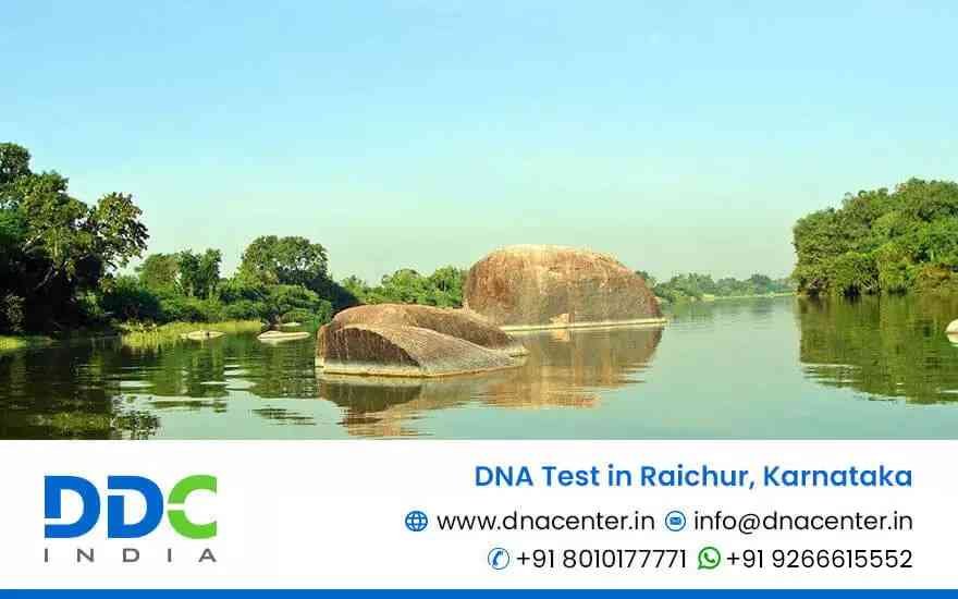 DNA Test in Raichur