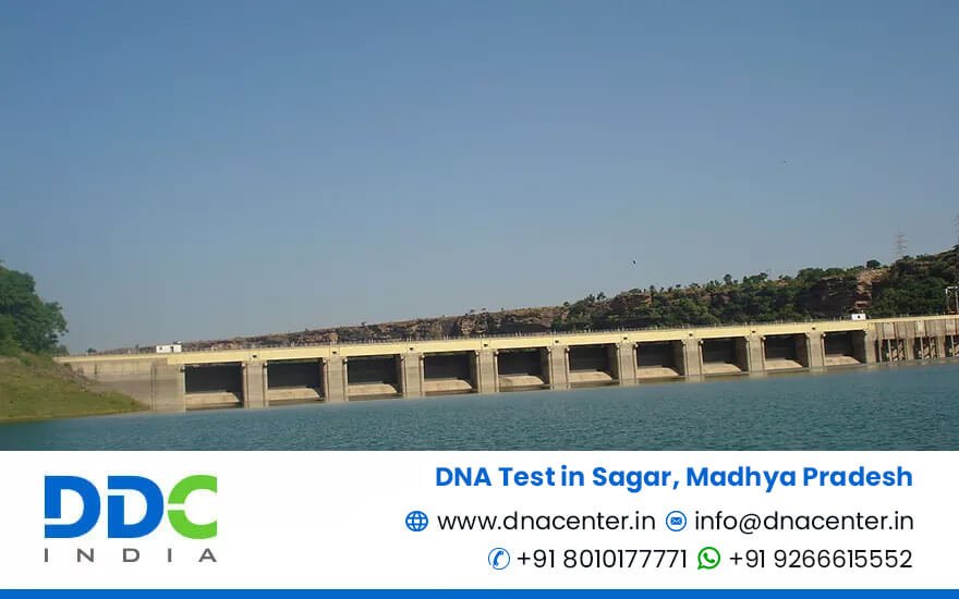 DNA Test in Sagar