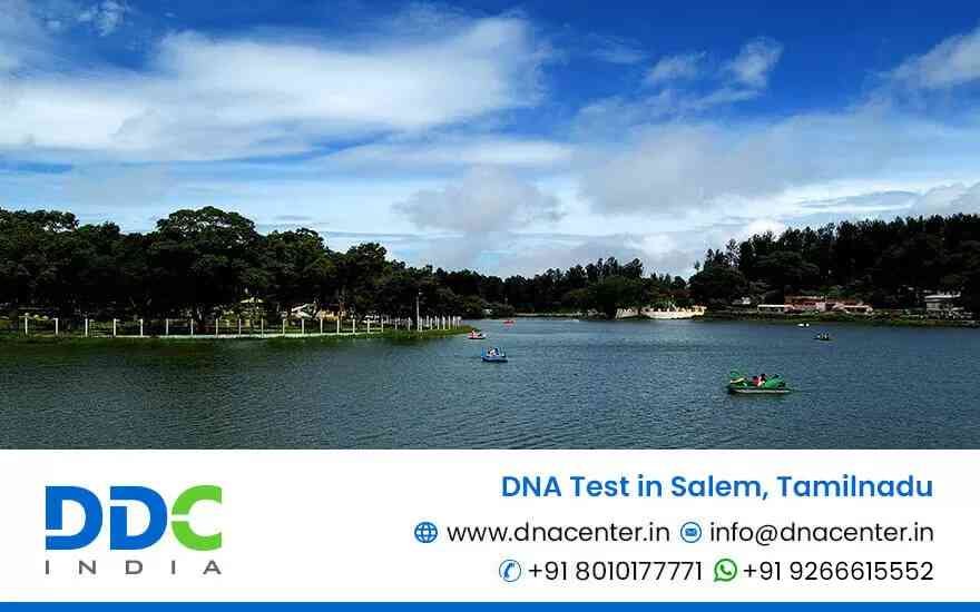 DNA Test in Salem