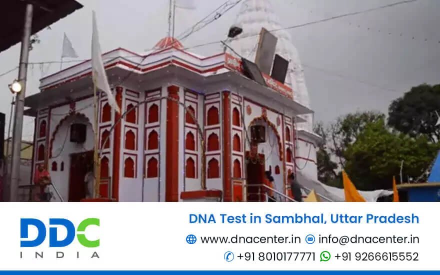 DNA Test in Sambhal