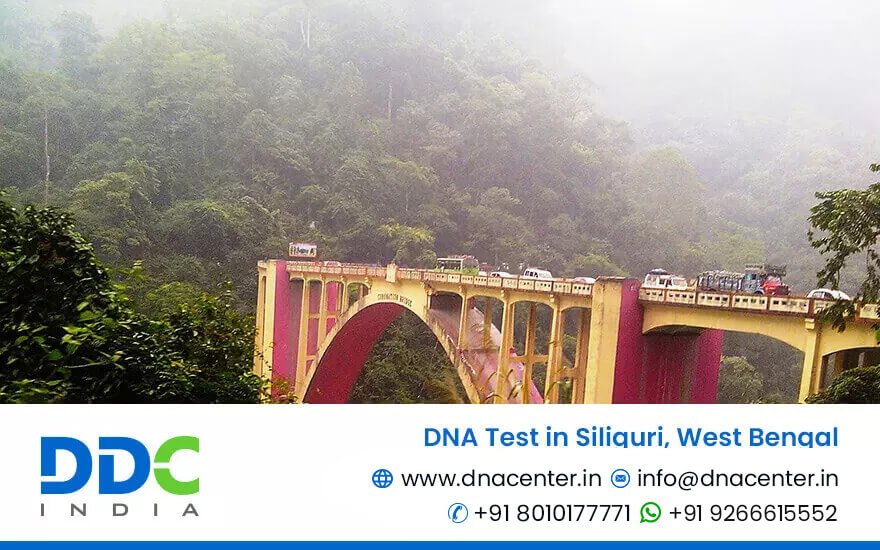 DNA Test in Siliguri