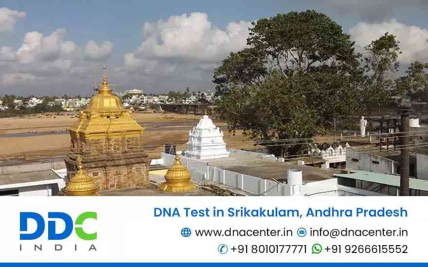 DNA Test in Srikakulam