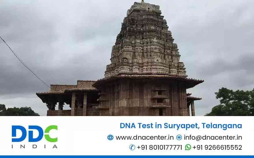 DNA Test in Suryapet