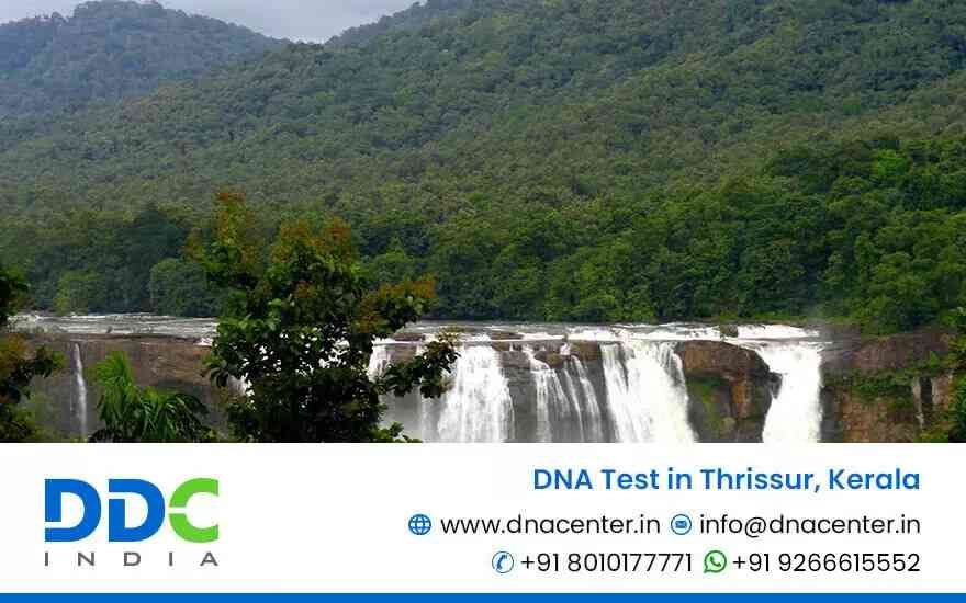 DNA Test in Thrissur
