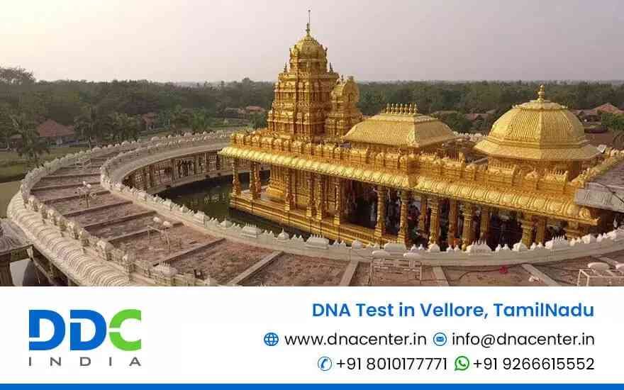 DNA Test in Vellore