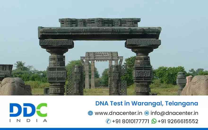 DNA Test in Warangal