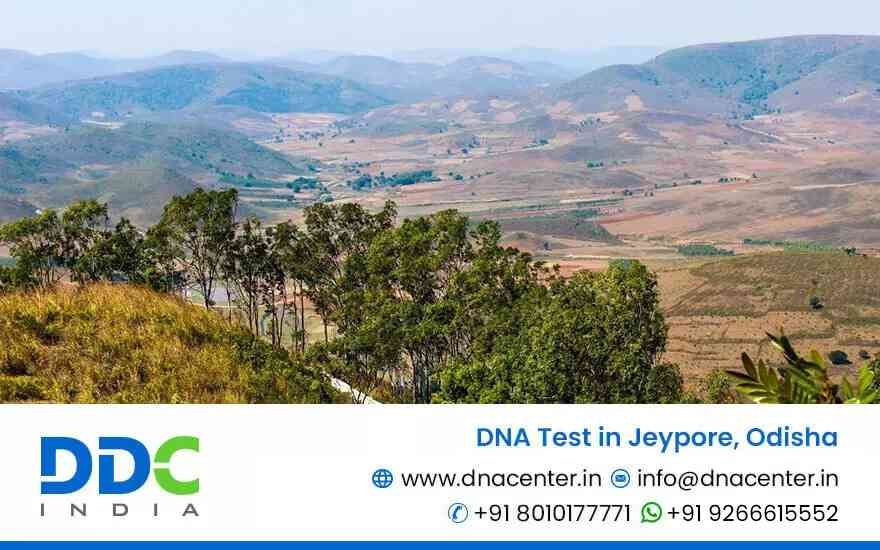 DNA test in Jeypore