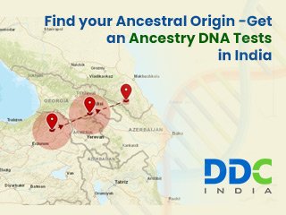 Ancestry DNA Test in India