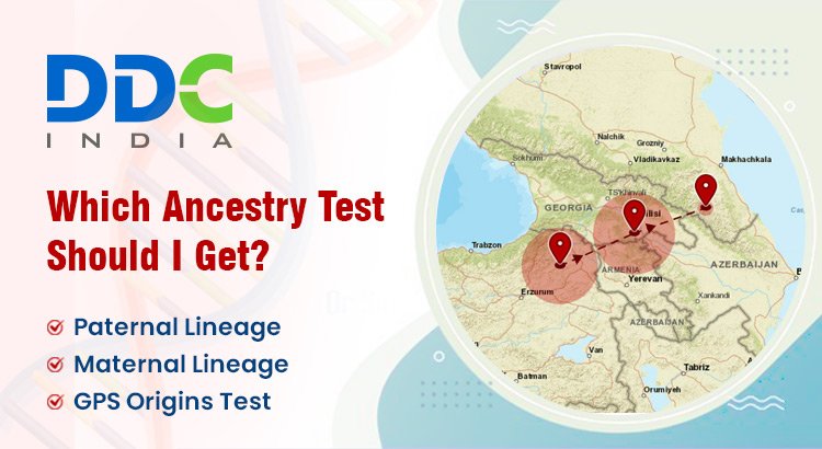 Ancestry DNA Testing