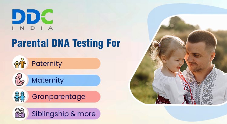 Parental DNA Test