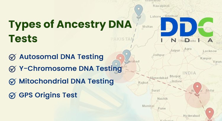 Genetic DNA testing